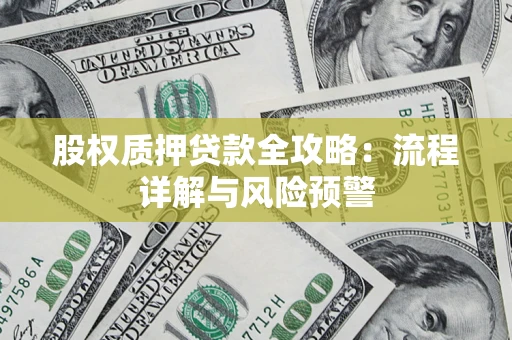北京股权质押贷款全攻略：流程详解与风险预警