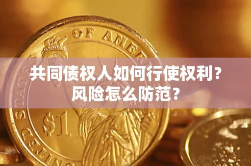 北京共同债权人如何行使权利？风险怎么防范？