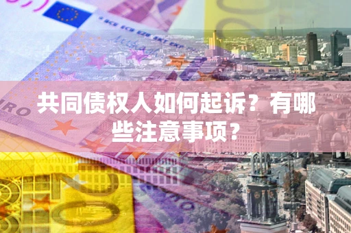 北京共同债权人如何起诉？有哪些注意事项？